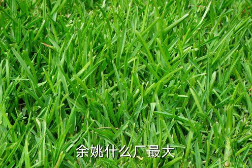 余姚什么廠最大