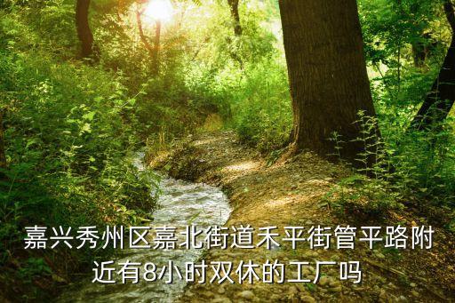  嘉興秀州區(qū)嘉北街道禾平街管平路附近有8小時雙休的工廠嗎