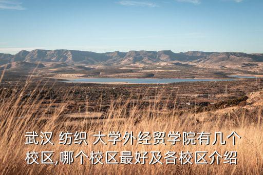  武漢 紡織 大學(xué)外經(jīng)貿(mào)學(xué)院有幾個校區(qū),哪個校區(qū)最好及各校區(qū)介紹