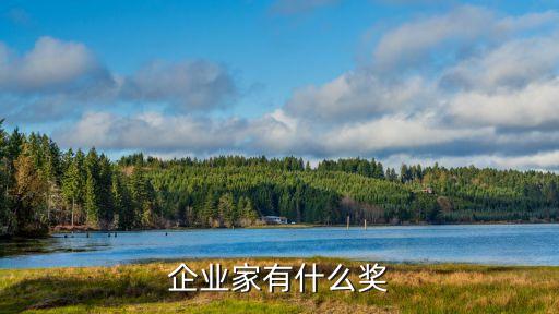企業(yè)家有什么獎