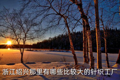 紹興縣百思針紡織品有限公司
