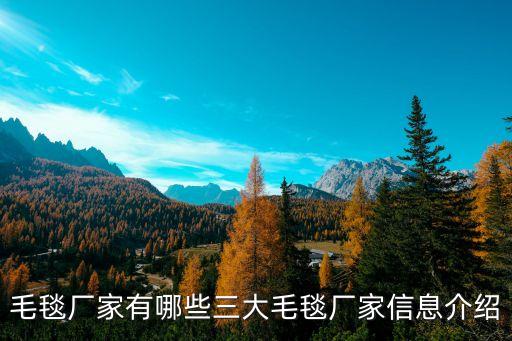 毛毯廠家有哪些三大毛毯廠家信息介紹