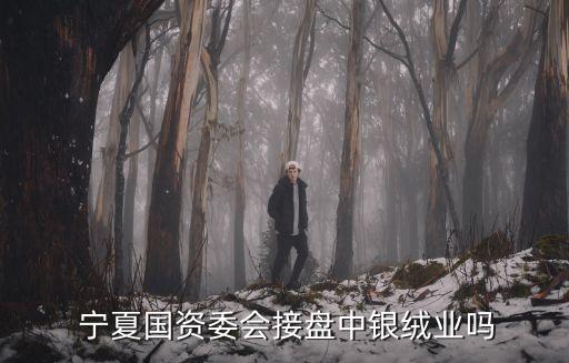  寧夏國(guó)資委會(huì)接盤(pán)中銀絨業(yè)嗎
