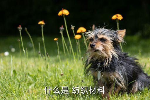 什么是 紡織材料
