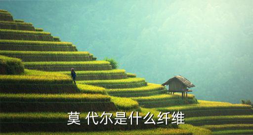 蘭精面料 莫代爾面料,蘭精莫代爾面料會(huì)越洗越長(zhǎng)嗎