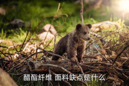 醋酸面料成分