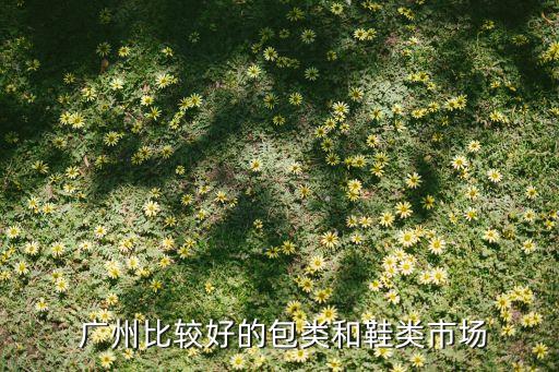  廣州比較好的包類和鞋類市場