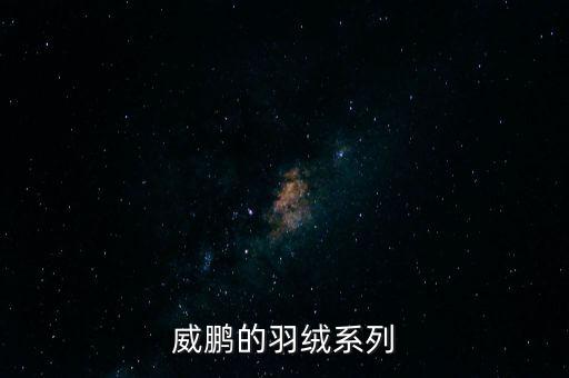 威鵬的羽絨系列