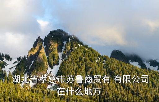  湖北省孝感市蘇魯商貿(mào)有 有限公司在什么地方