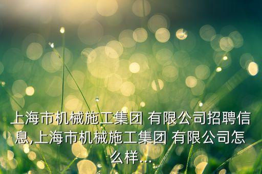上海市機械施工集團 有限公司招聘信息,上海市機械施工集團 有限公司怎么樣...