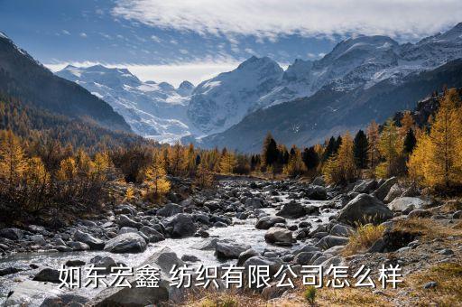 如東宏鑫 紡織有限公司怎么樣