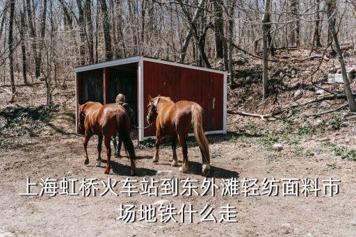 上海到紡織,上海紡織大學是211大學嗎