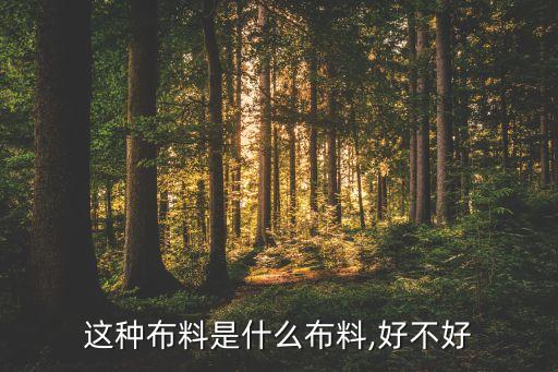 這種布料是什么布料,好不好