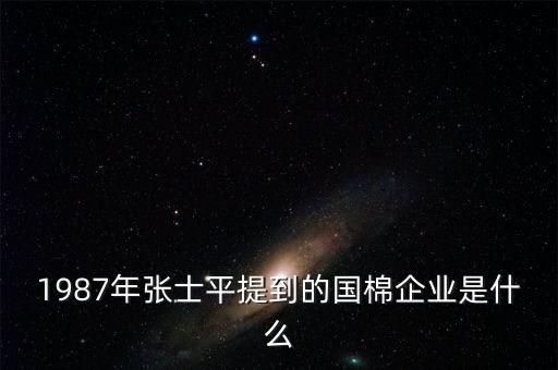 1987年張士平提到的國(guó)棉企業(yè)是什么