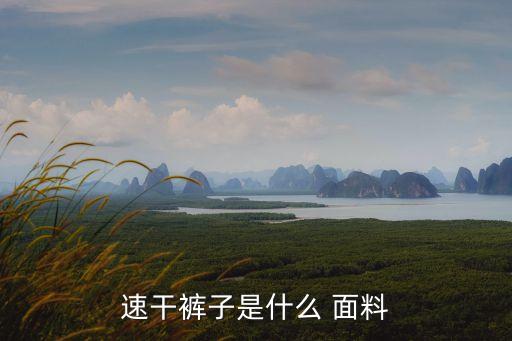 高科技服裝面料,服裝面料品牌天絲