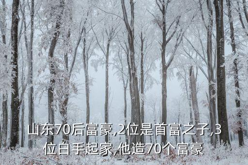 山東70后富豪,2位是首富之子,3位白手起家,他造70個(gè)富豪