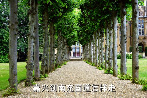  嘉興到南充國道怎樣走