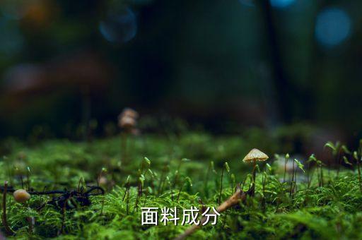 面料成分