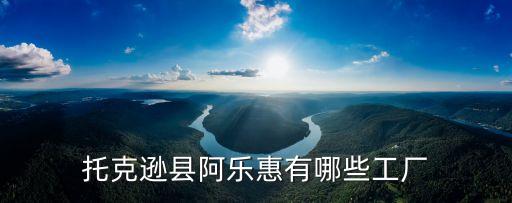 托克遜縣阿樂惠有哪些工廠
