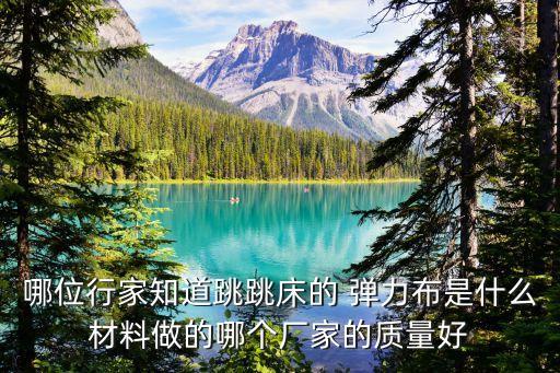 哪位行家知道跳跳床的 彈力布是什么材料做的哪個廠家的質(zhì)量好
