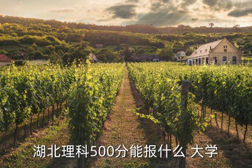 武漢紡織大學(xué)錄取名單