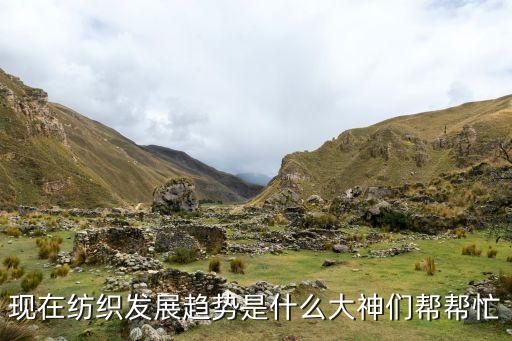 現(xiàn)在紡織發(fā)展趨勢(shì)是什么大神們幫幫忙