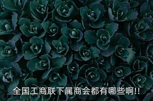 全國工商聯(lián)下屬商會(huì)都有哪些啊!!