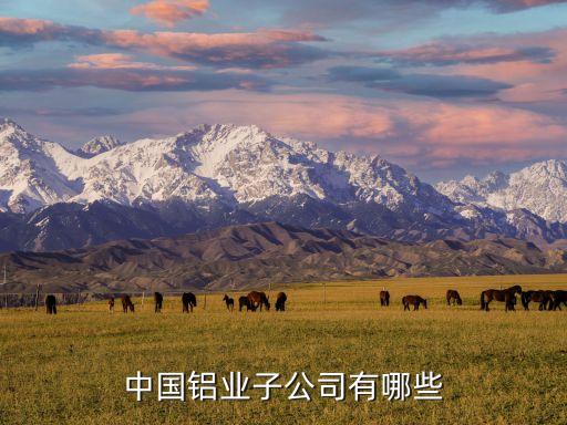 中國(guó)鋁業(yè)子公司有哪些