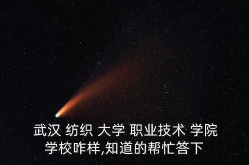 武漢紡織大學(xué)職業(yè)學(xué)院