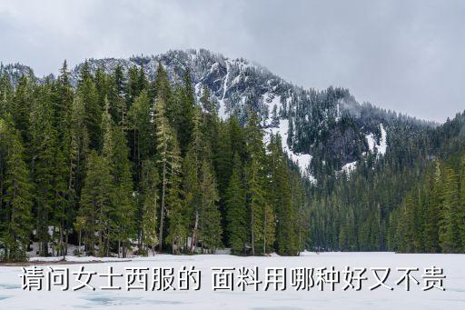 請問女士西服的 面料用哪種好又不貴