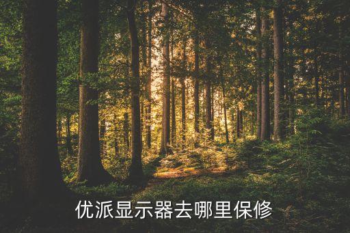優(yōu)派顯示器去哪里保修