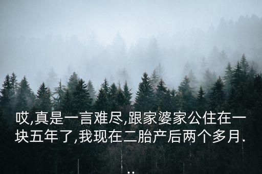 哎,真是一言難盡,跟家婆家公住在一塊五年了,我現(xiàn)在二胎產(chǎn)后兩個(gè)多月...