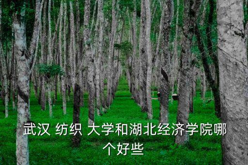  武漢 紡織 大學和湖北經濟學院哪個好些