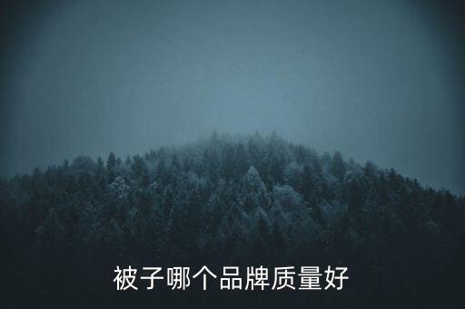 被子哪個(gè)品牌質(zhì)量好