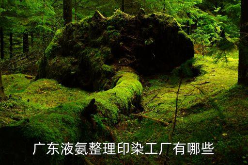 廣東液氨整理印染工廠有哪些