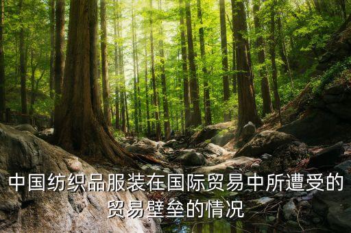 中國紡織品服裝在國際貿(mào)易中所遭受的貿(mào)易壁壘的情況
