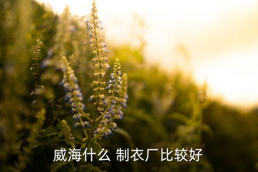 威海什么 制衣廠比較好