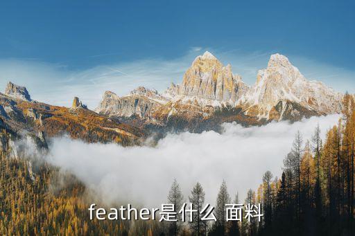 feather是什么 面料