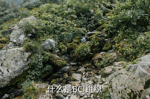 紡織bci認(rèn)證,bci認(rèn)證費用一般要多少錢
