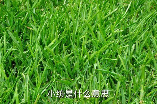 小紡是什么意思