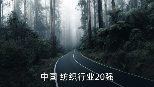 中國 紡織行業(yè)20強