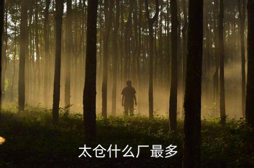  太倉什么廠最多