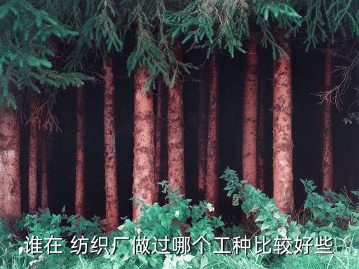誰在 紡織廠做過哪個工種比較好些