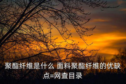 聚酯纖維是什么 面料聚酯纖維的優(yōu)缺點(diǎn)=網(wǎng)査目錄