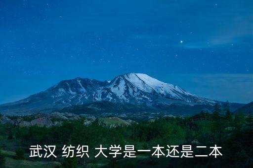 武漢市紡織大學