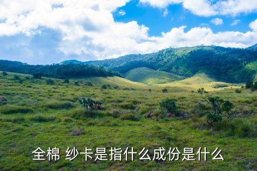 紗卡是什么面料,什么紗面料最好