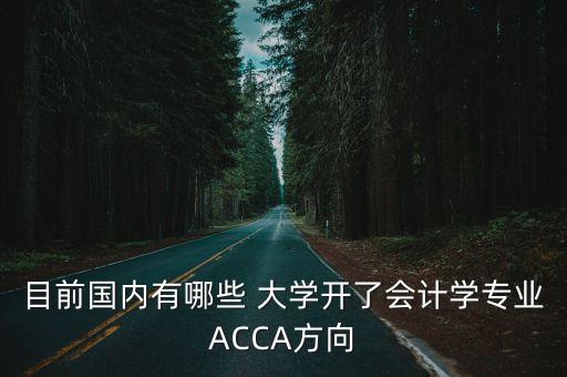 目前國內(nèi)有哪些 大學(xué)開了會(huì)計(jì)學(xué)專業(yè)ACCA方向
