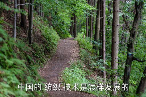 中國的 紡織 技術(shù)是怎樣發(fā)展的
