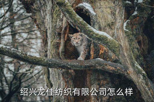 紹興龍佳紡織有限公司怎么樣