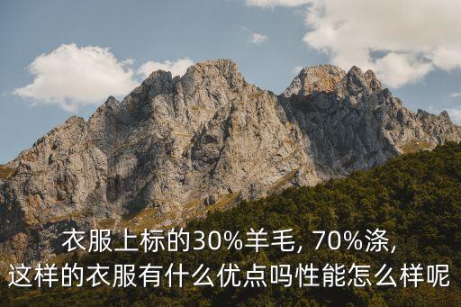衣服上標(biāo)的30%羊毛, 70%滌,這樣的衣服有什么優(yōu)點(diǎn)嗎性能怎么樣呢